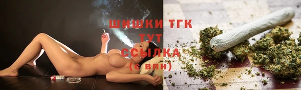 мдпв Саяногорск