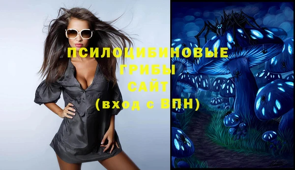 метадон Сатка