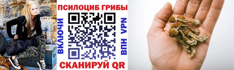 Галлюциногенные грибы MAGIC MUSHROOMS Лениногорск